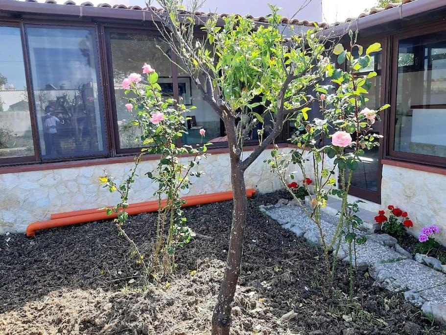 Cammini Di Sale Casa Vacanze Tra Le Saline Torre Nubia Dış mekan fotoğraf